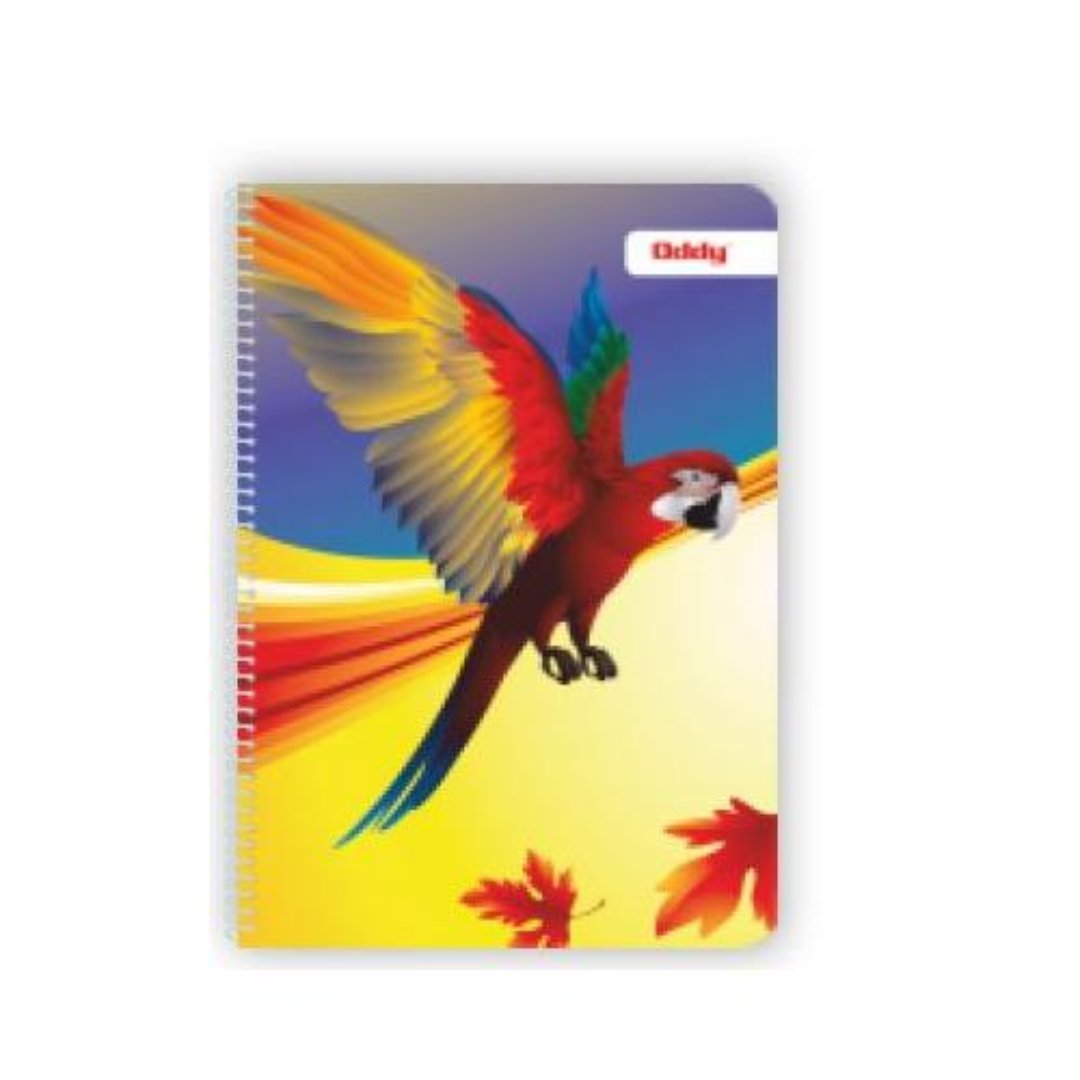 Oddy Metal 5 Section A4 Spiral Notebook